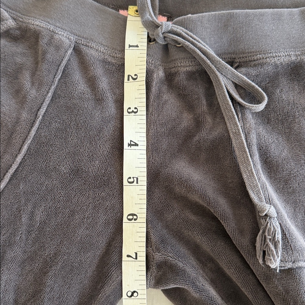 Juicy Couture Velour Gray Pants - Picture 14 of 16